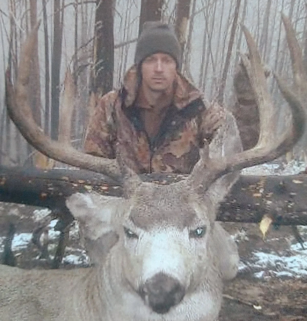 Not even sure when this was, late 90's mule deer.