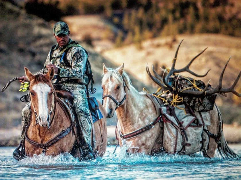 Find Dave at: IG: @hollywooddaveoo Facebook: David Beronio Outback Outdoors