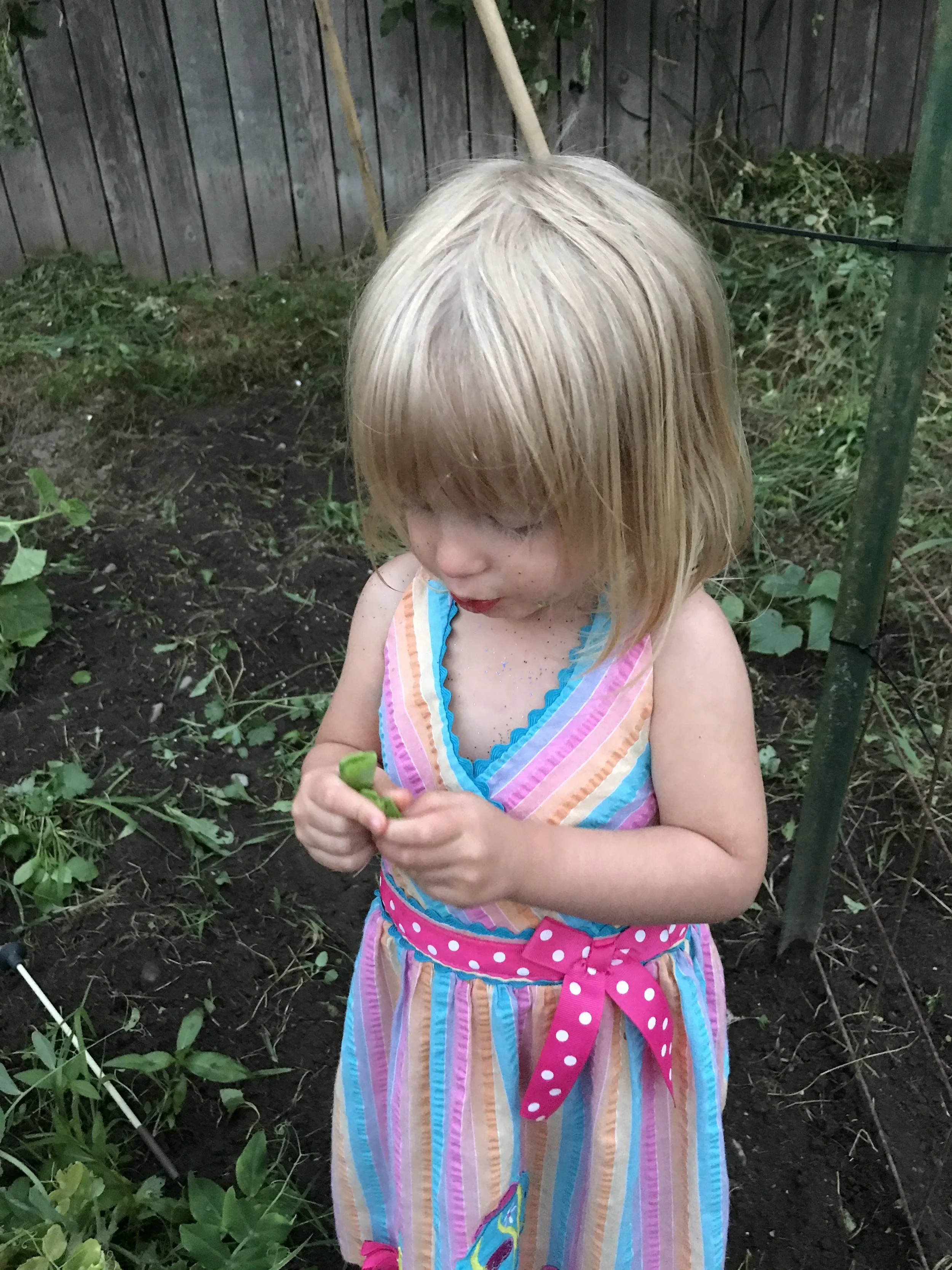2017-07-02 21.24.02.jpg