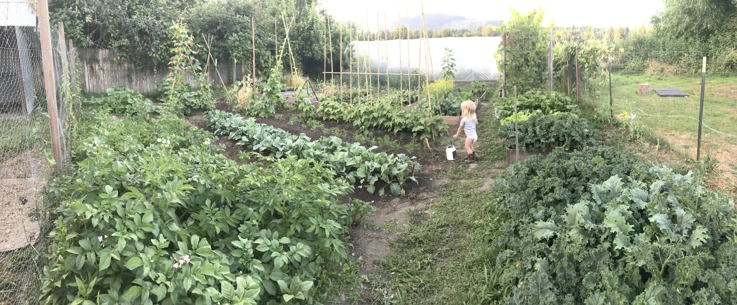 2017-07-17 20.23.14.jpg