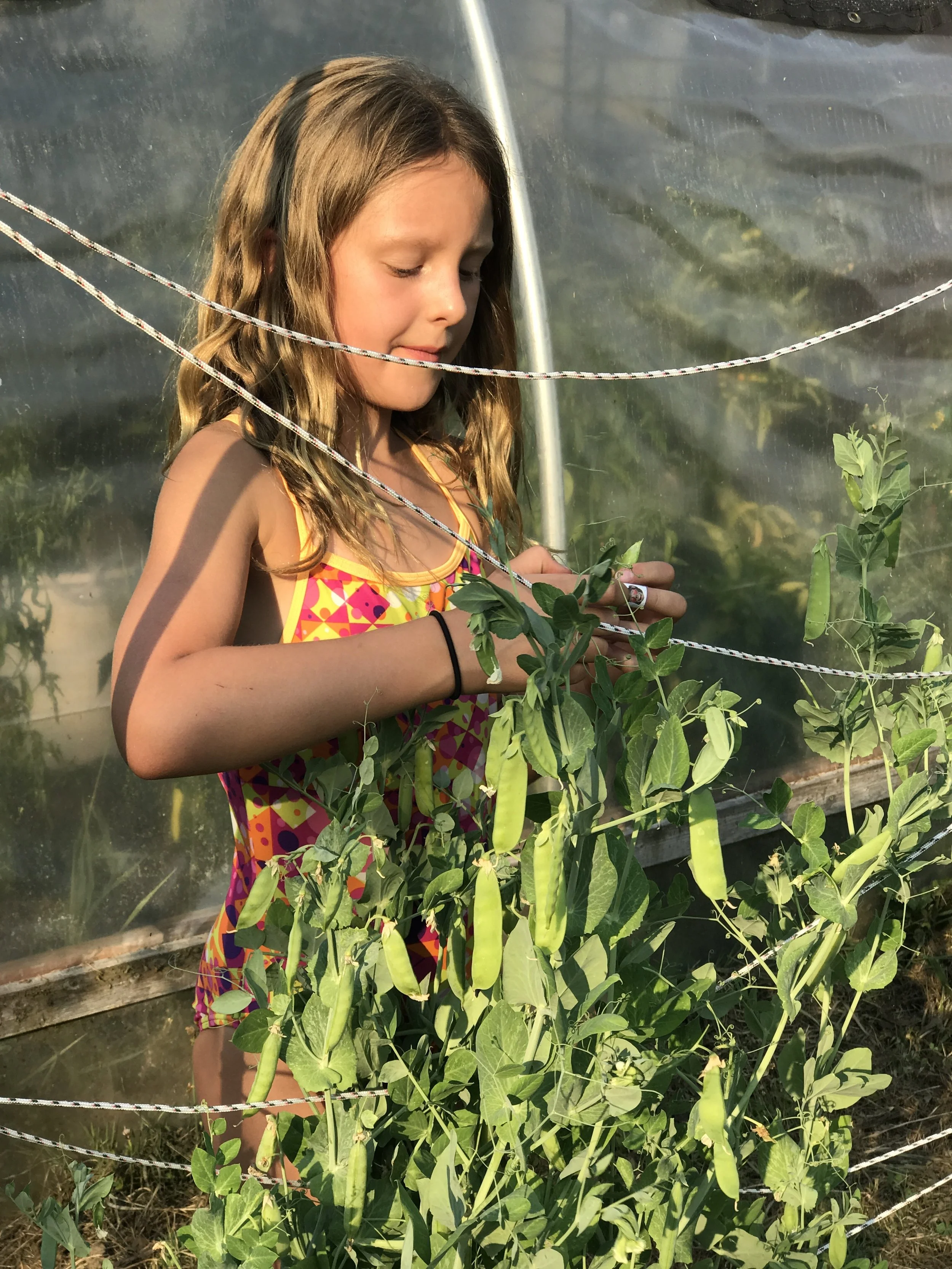 2017-08-02 17.57.27.jpg