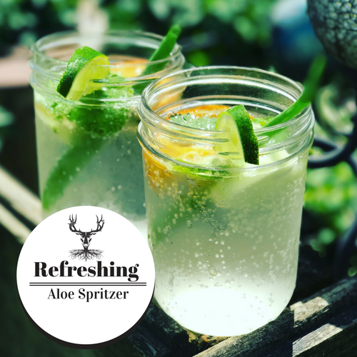 Refreshing Aloe Spritzer.png