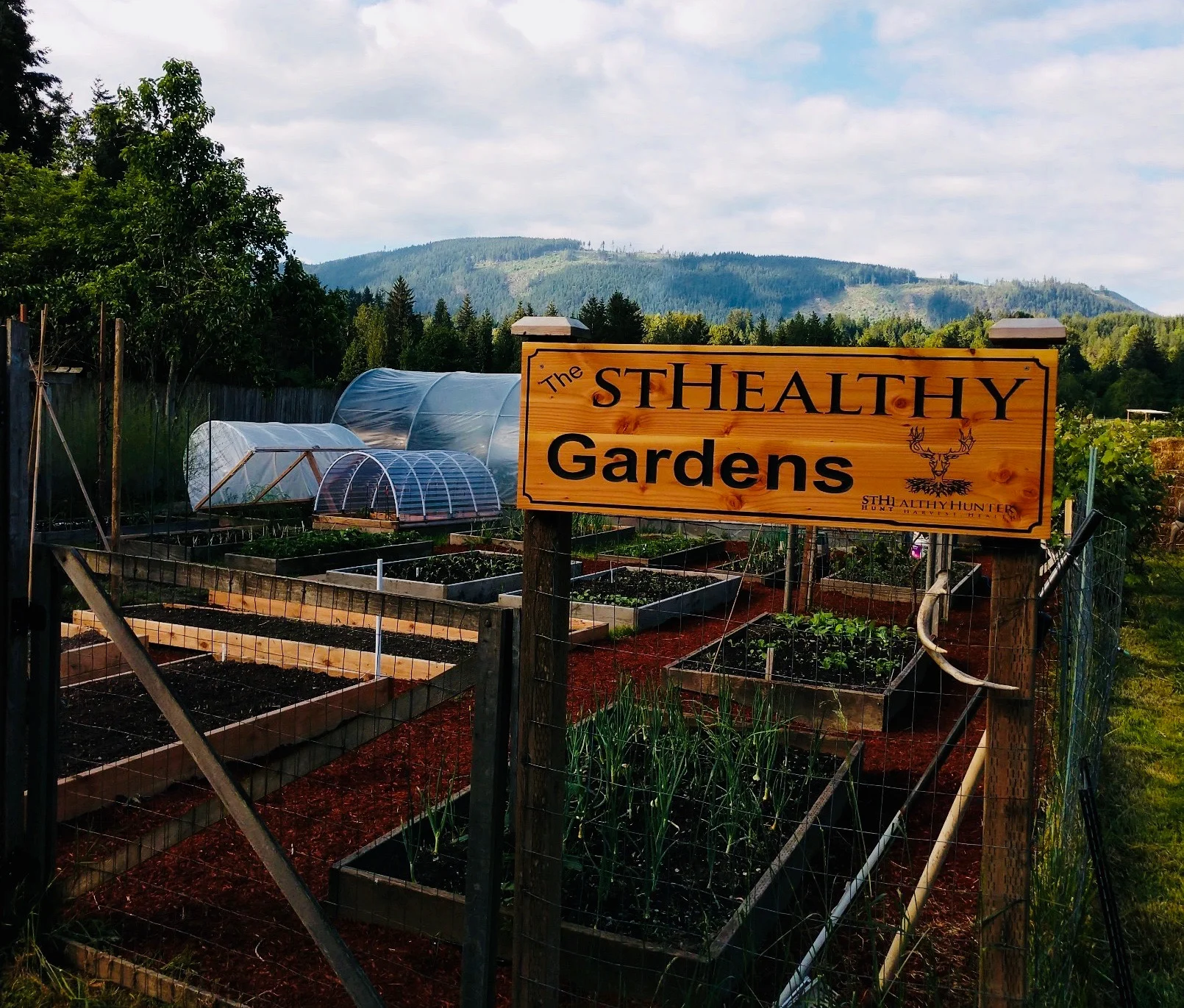 StHealthy Garden 2018