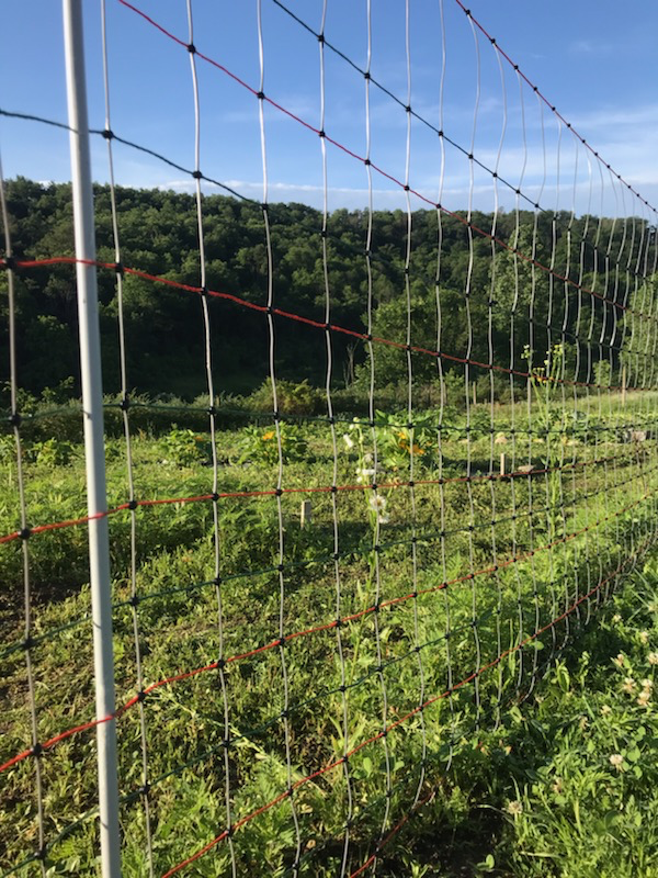 The electric net fence