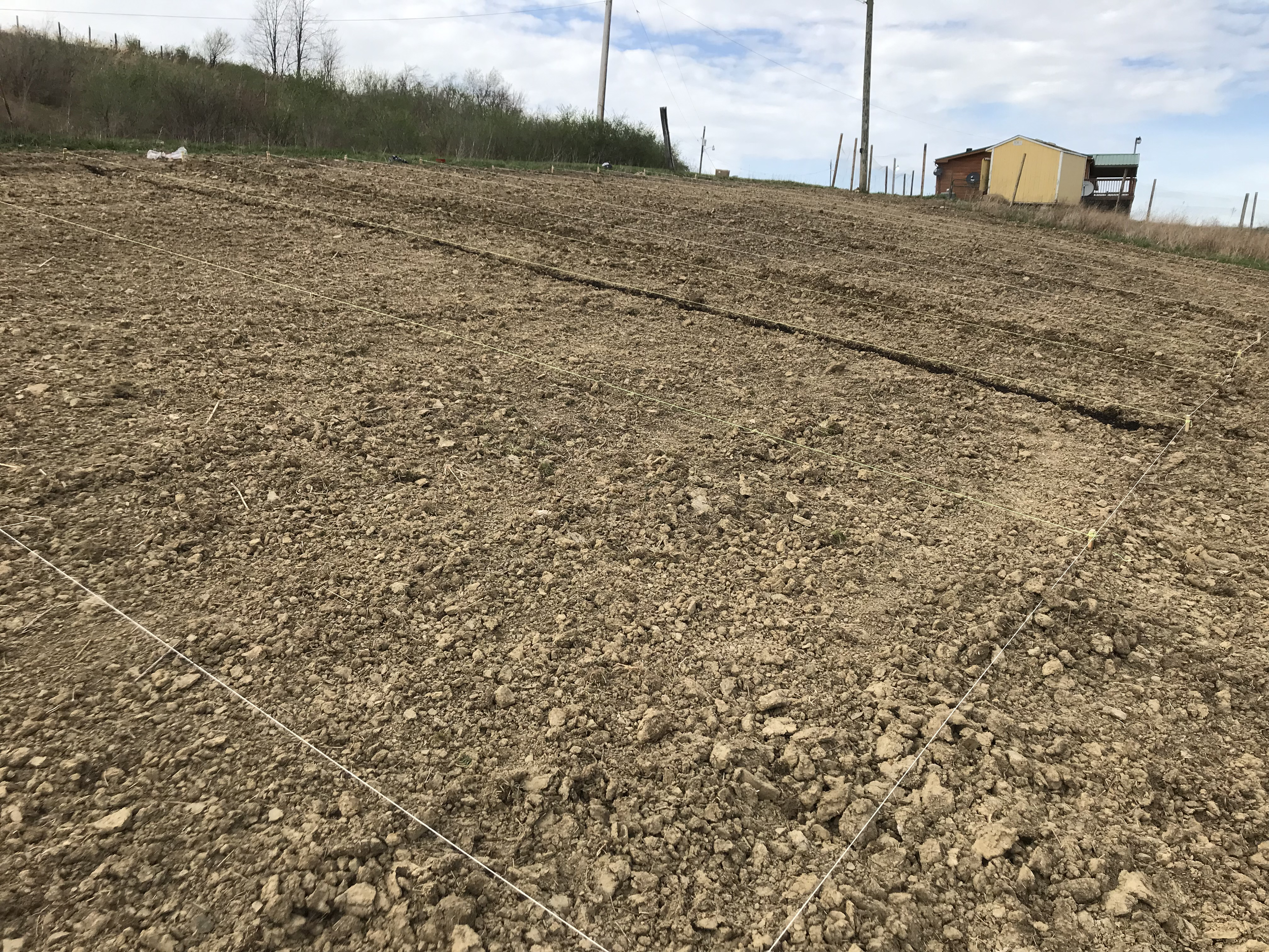 Freshly tilled