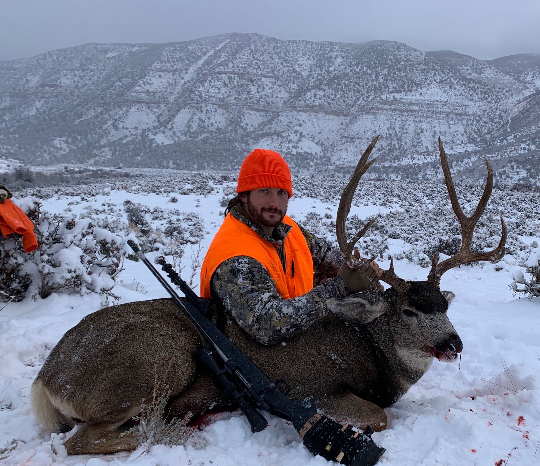 Joe’s 2020 DIY backcountry mule deer that the ground meat that was used for this recipe came from.