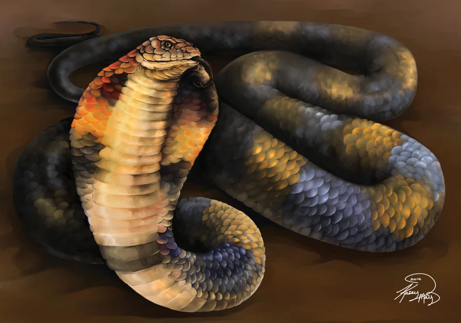 Psychedelic Cobra