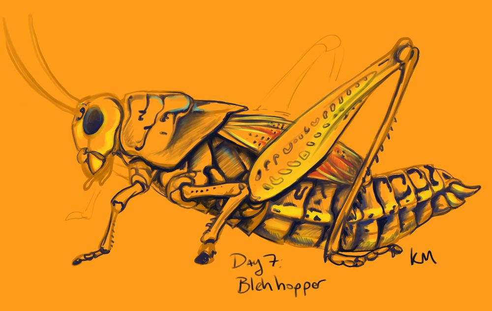 Day 7: Blehhopper