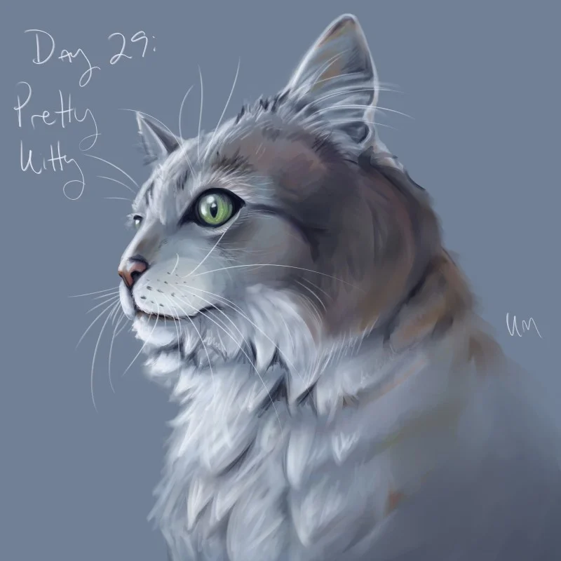 Day 29: Pretty Kitty