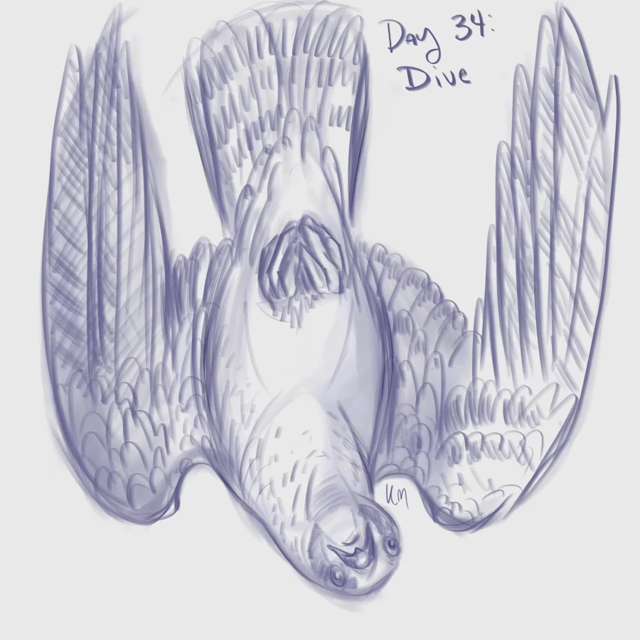 Day 34: Dive