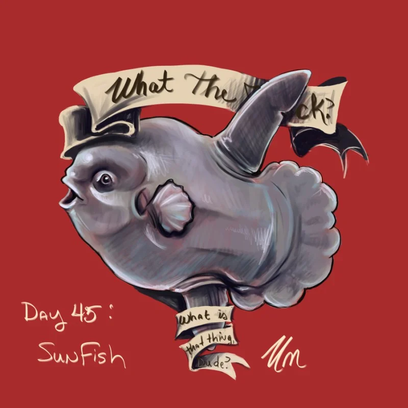 Day 45: Sunfish