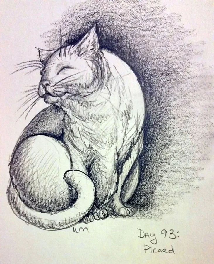 Day 93: Picard