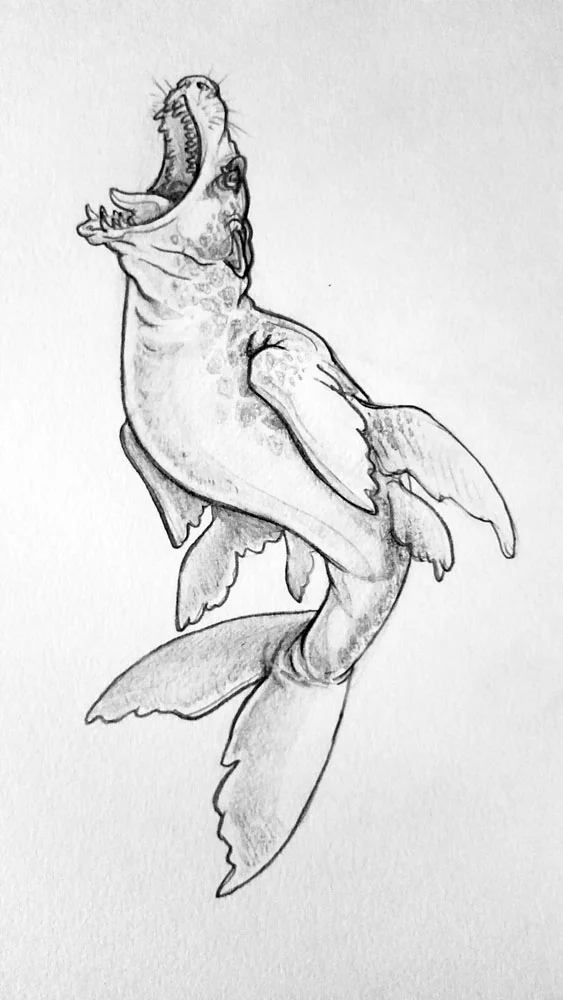 Week 10: Various Sketches: Weird Sealion