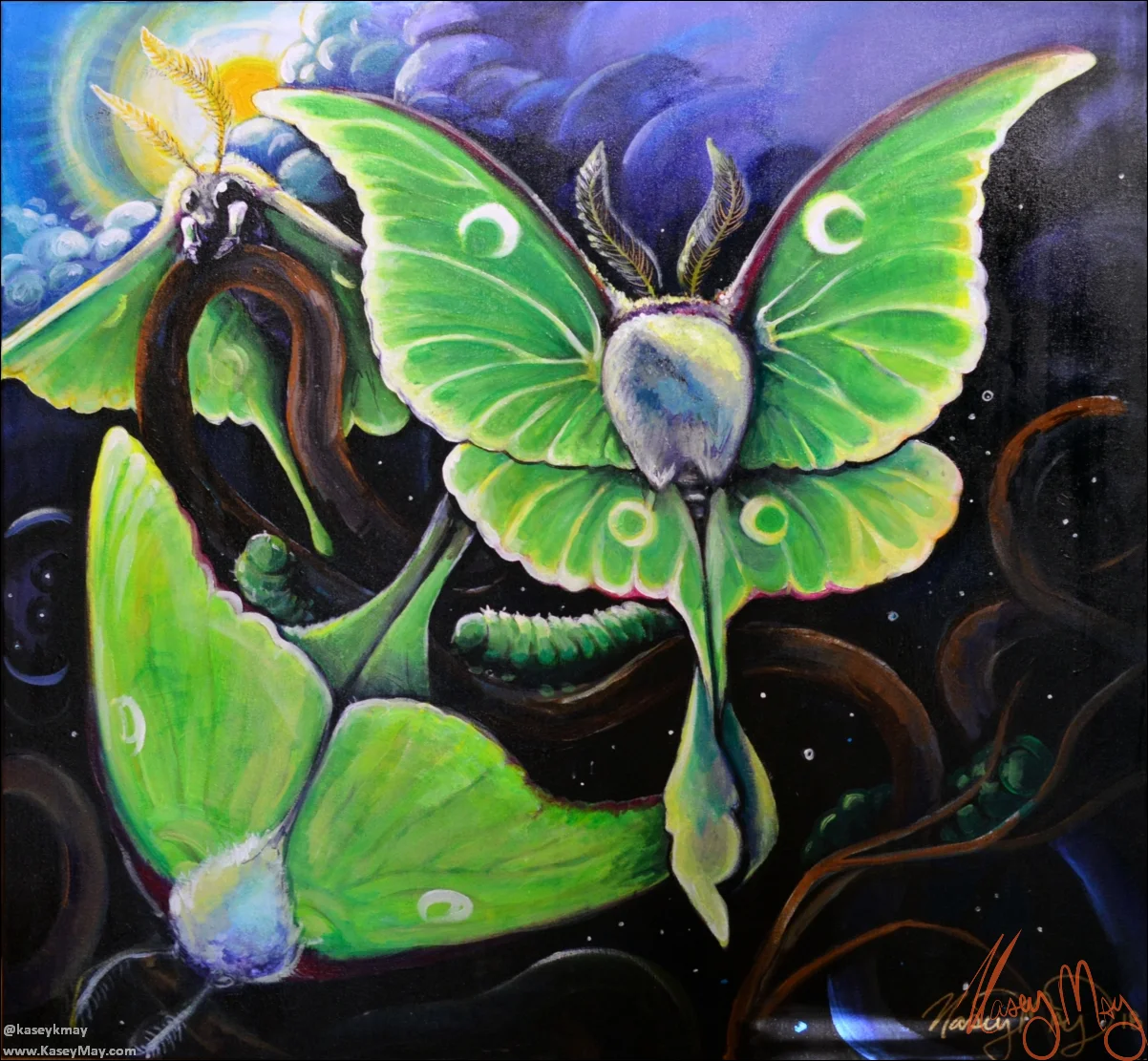 Luna Moths