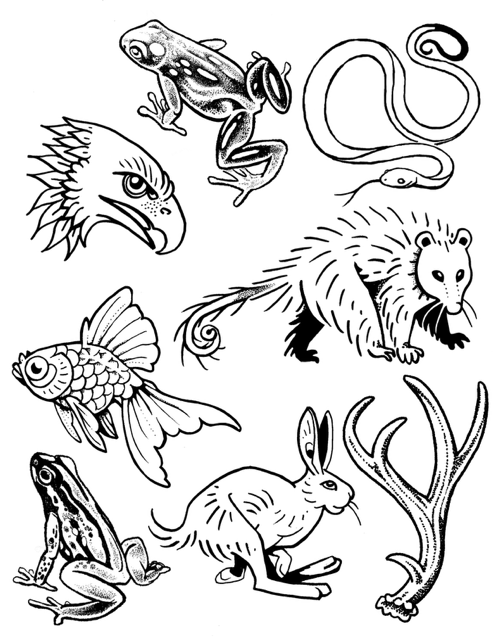 Animal Designs