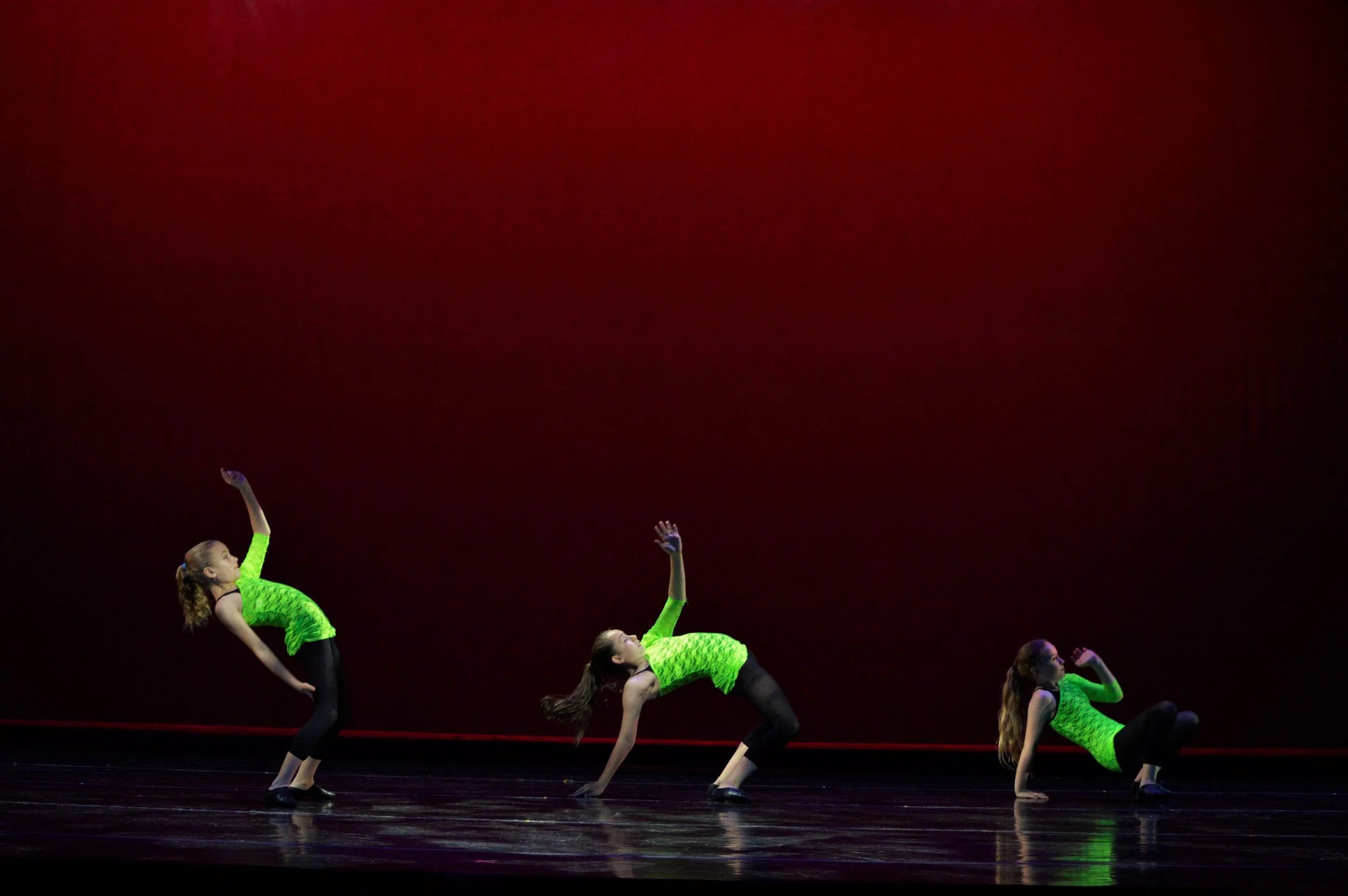 Young Dancers Concert Delaware Dance Company