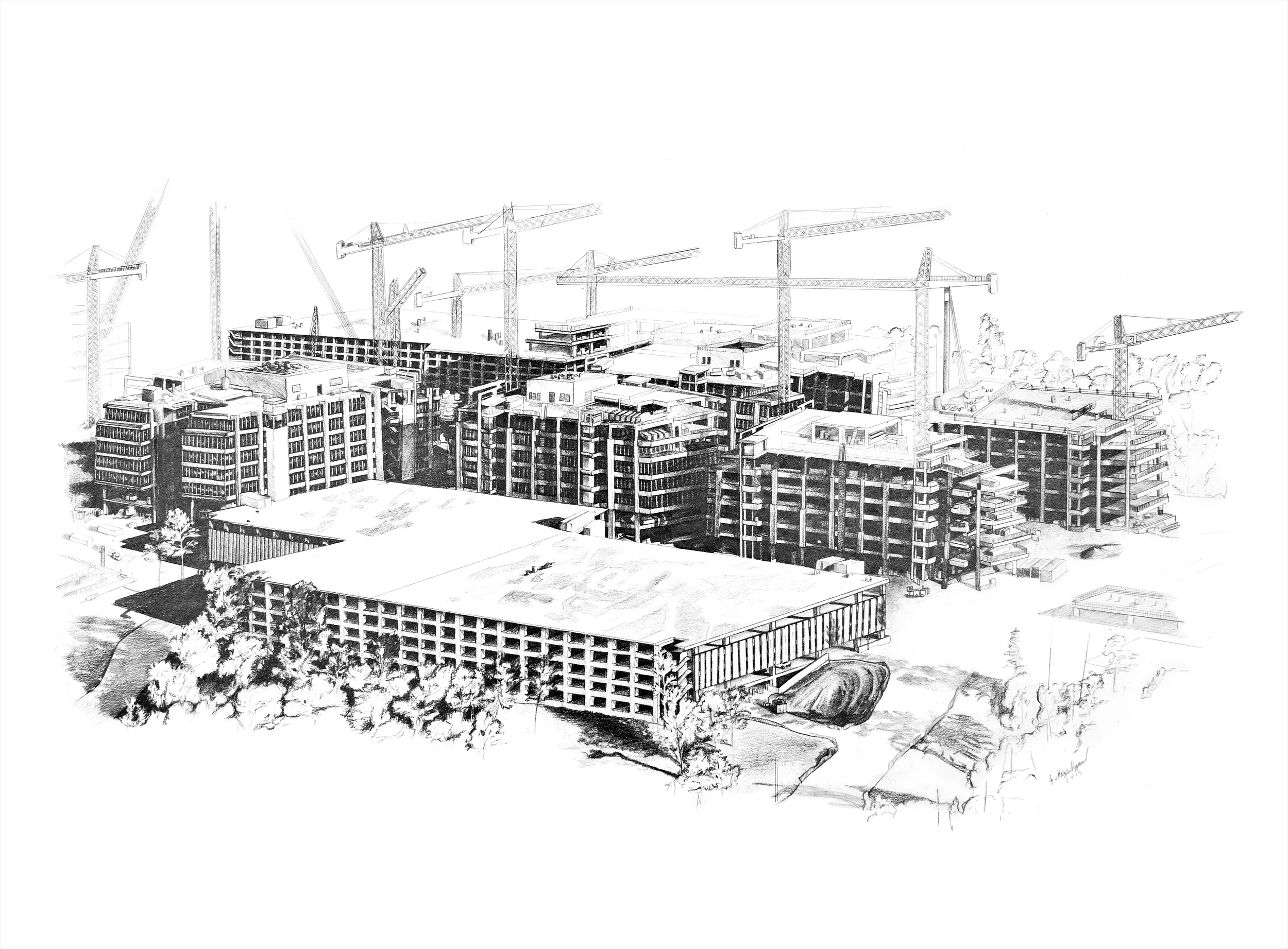 Line Drawing.jpg