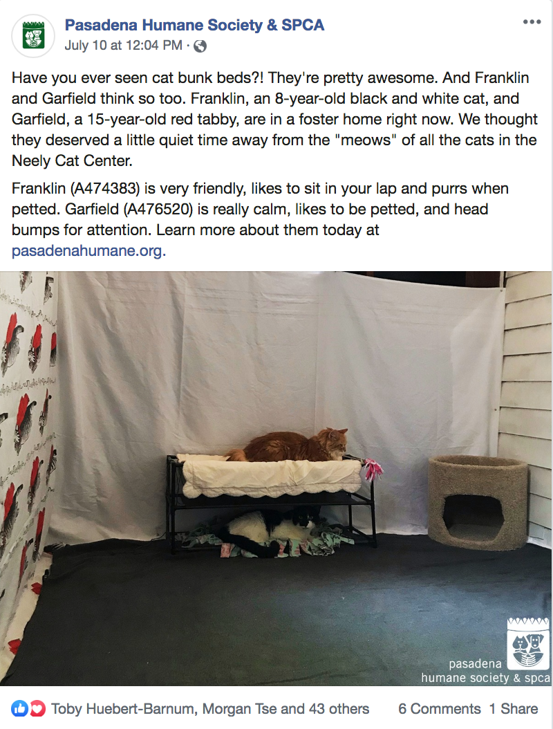 Screen Shot 2019-07-21 at 1.55.46 PM.png