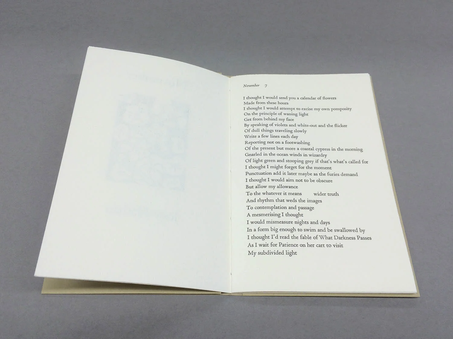 pamphlet poem.jpg