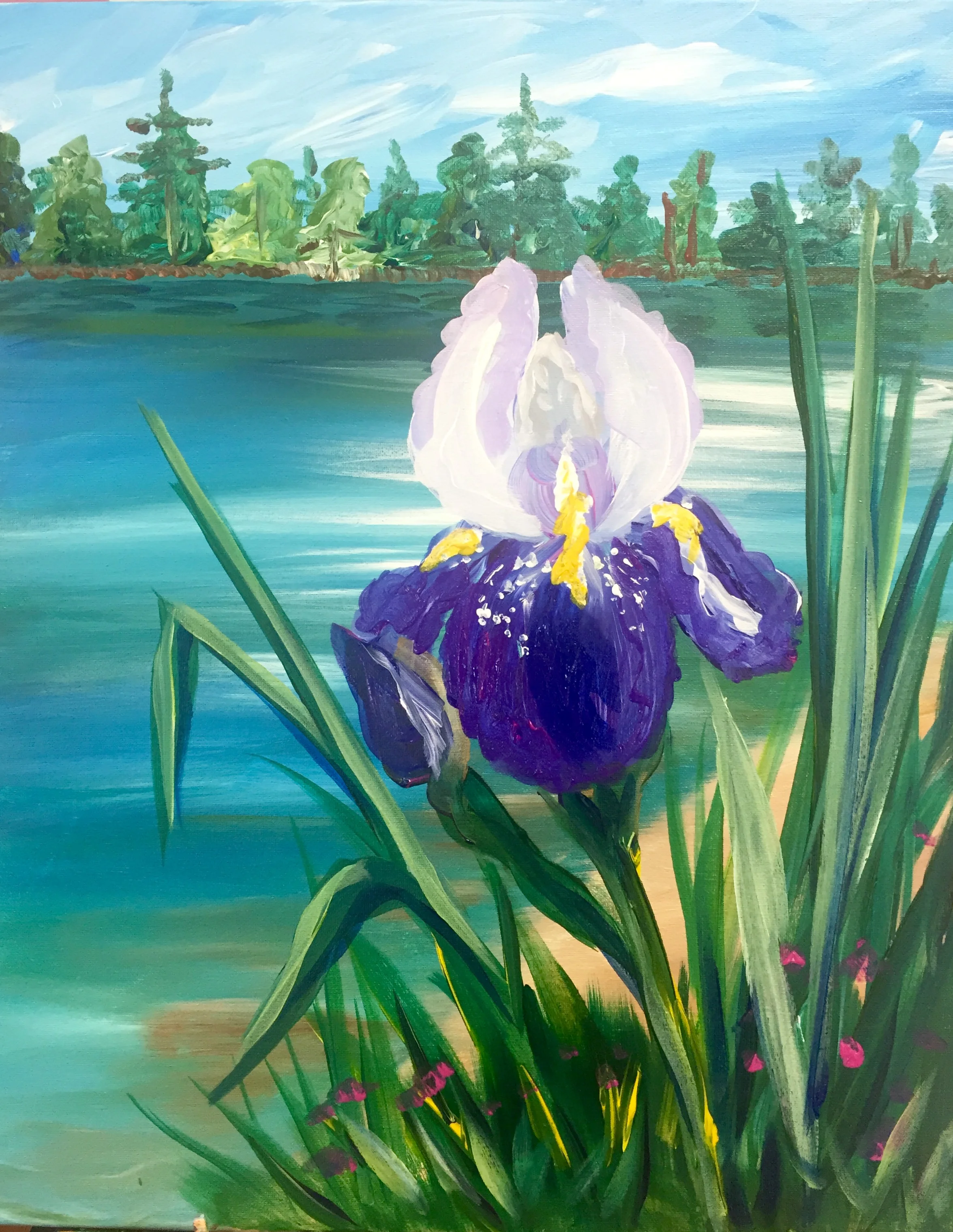Iris.jpg
