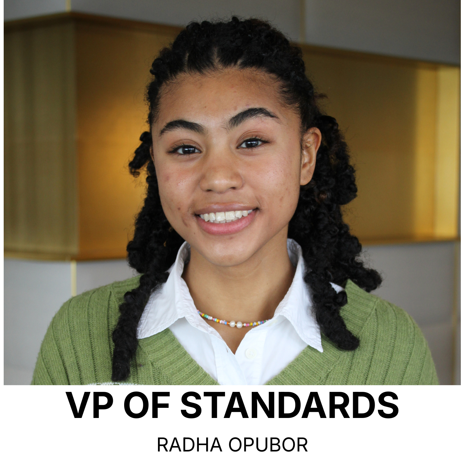 President Josh Charles copy 15.png