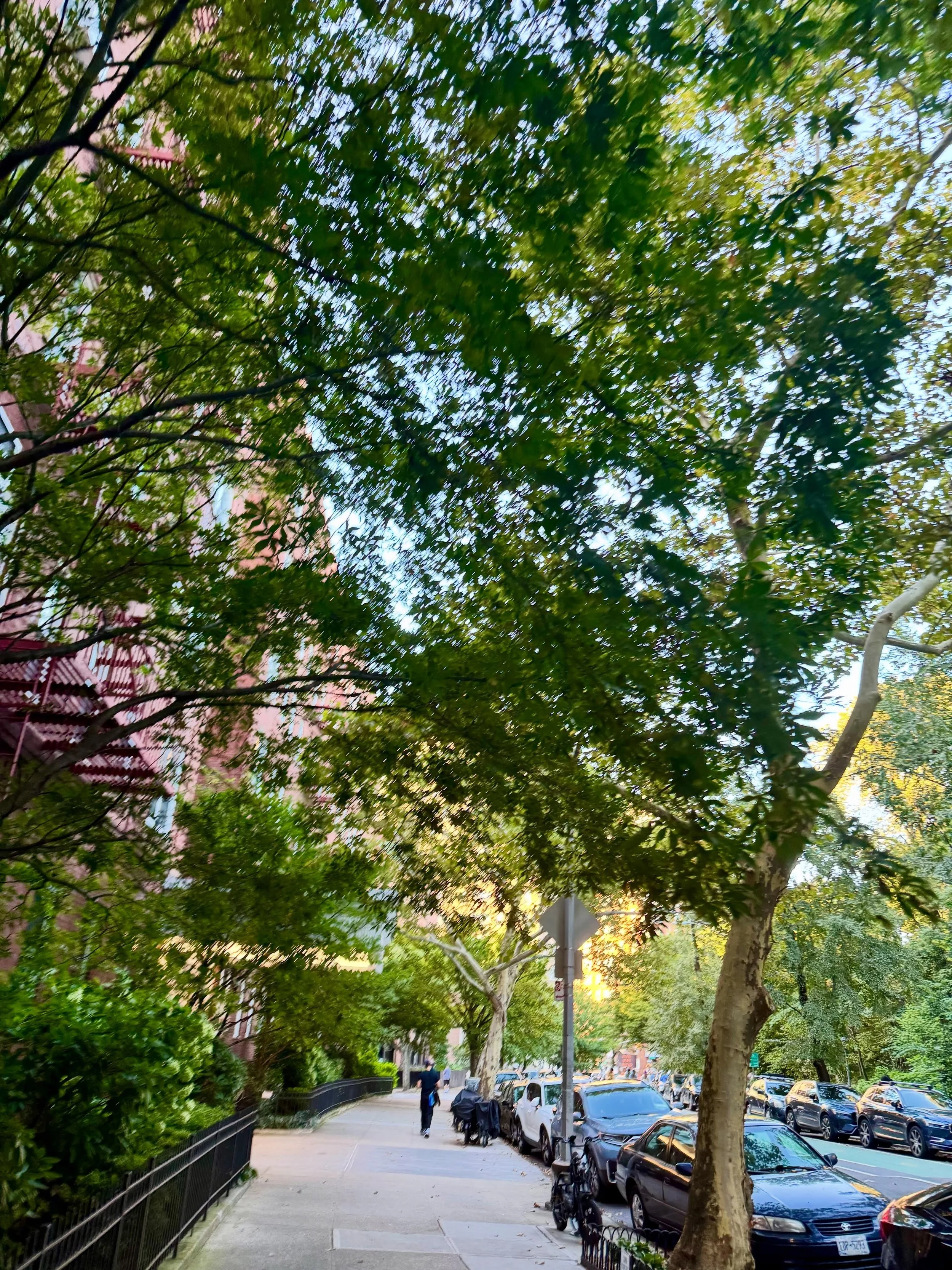 Park Slope in September gives you everything at once. Trees still full, light hitting the brownstones at an angle it only holds for a few weeks a year, streets that make you slow down whether you meant to or not. Grateful for days like this one.

🤍 