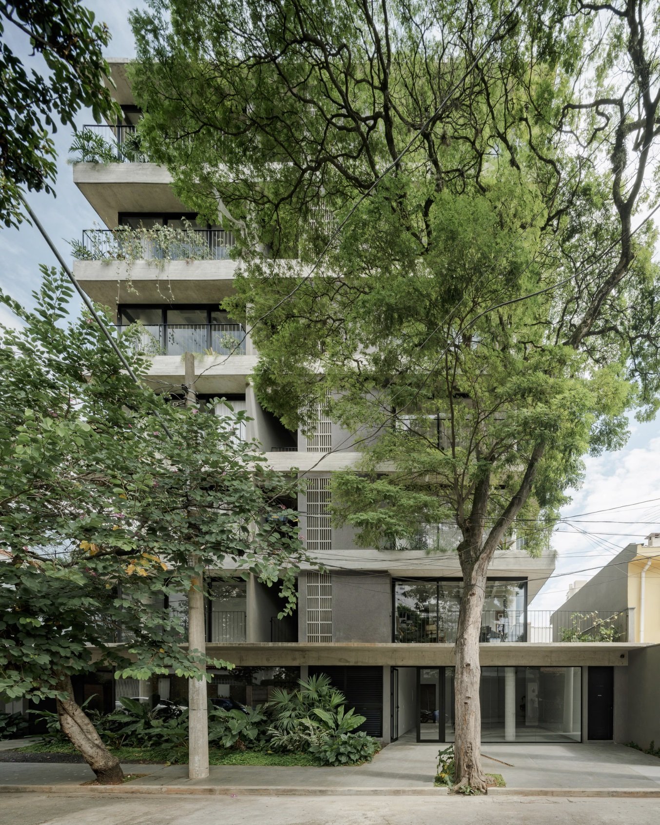 Captura de Tela 2026-02-28 às 11.49.jpeg