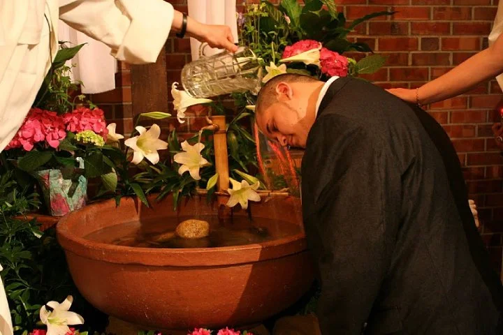 spring2010_023.jpg