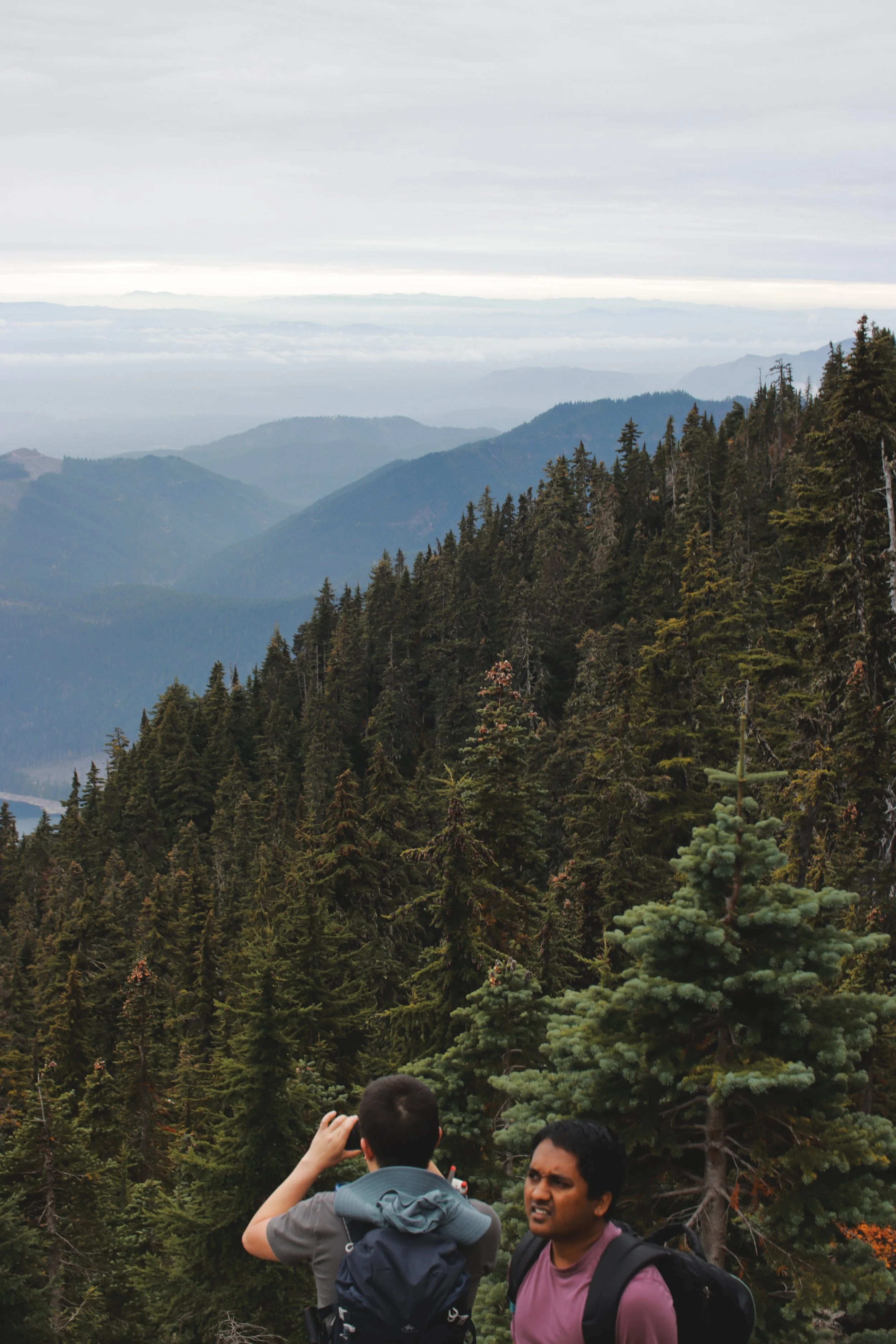 2025-10-18 WA MT ELLINOR - FRASSATI_view.jpg