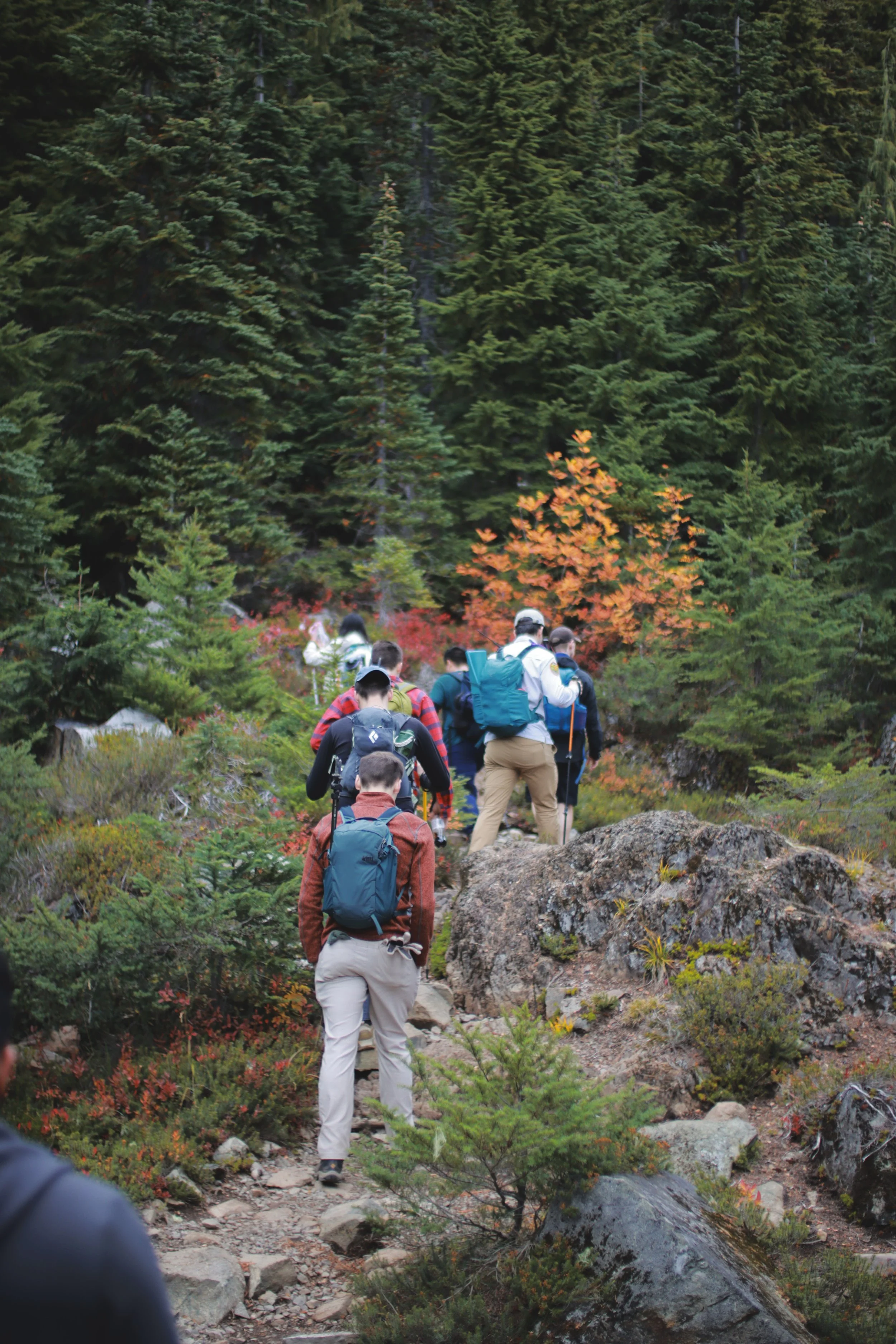 2025-10-18 WA MT ELLINOR - FRASSATI.jpg