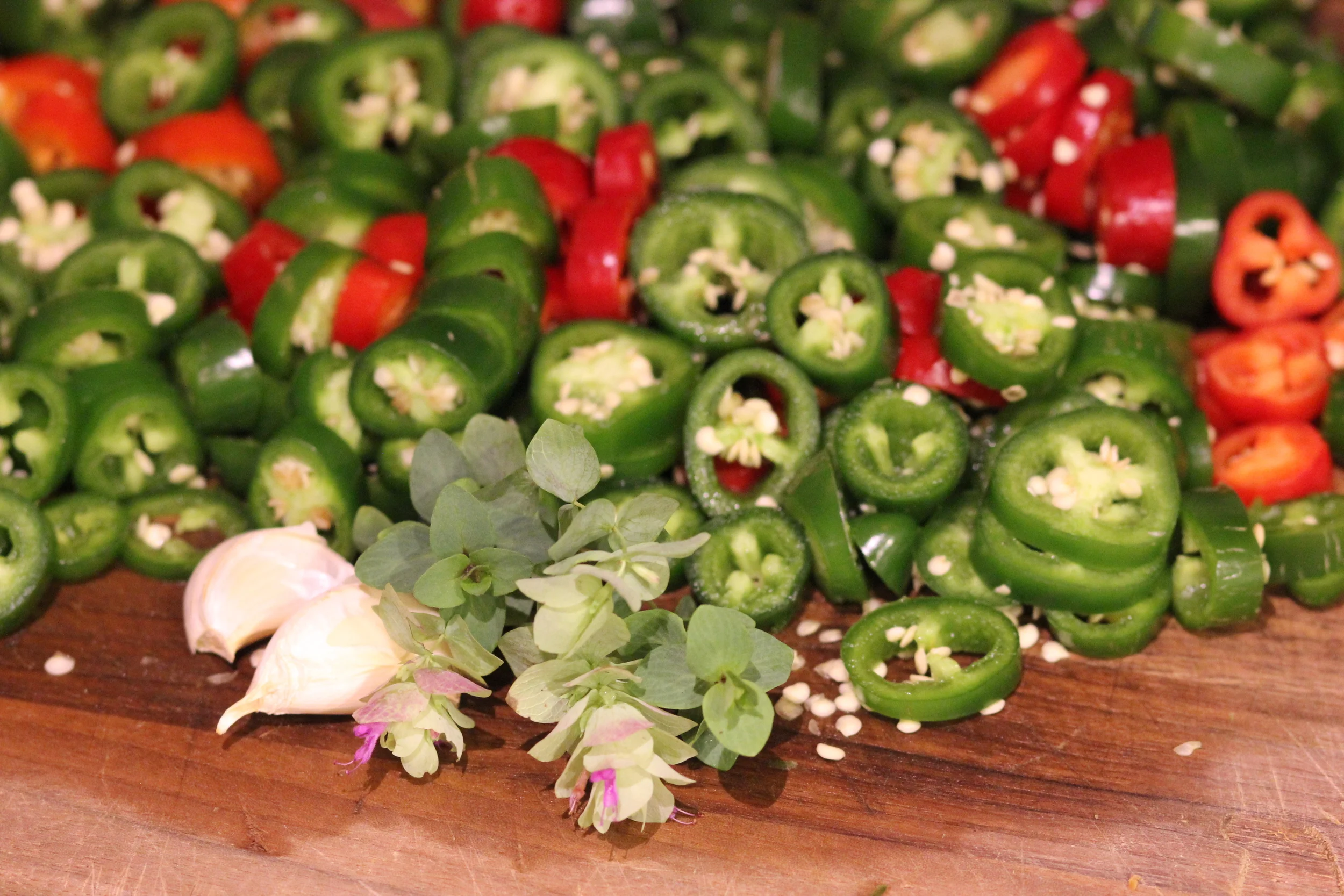 fresh oregano and garlic make for great pickled jalapenos