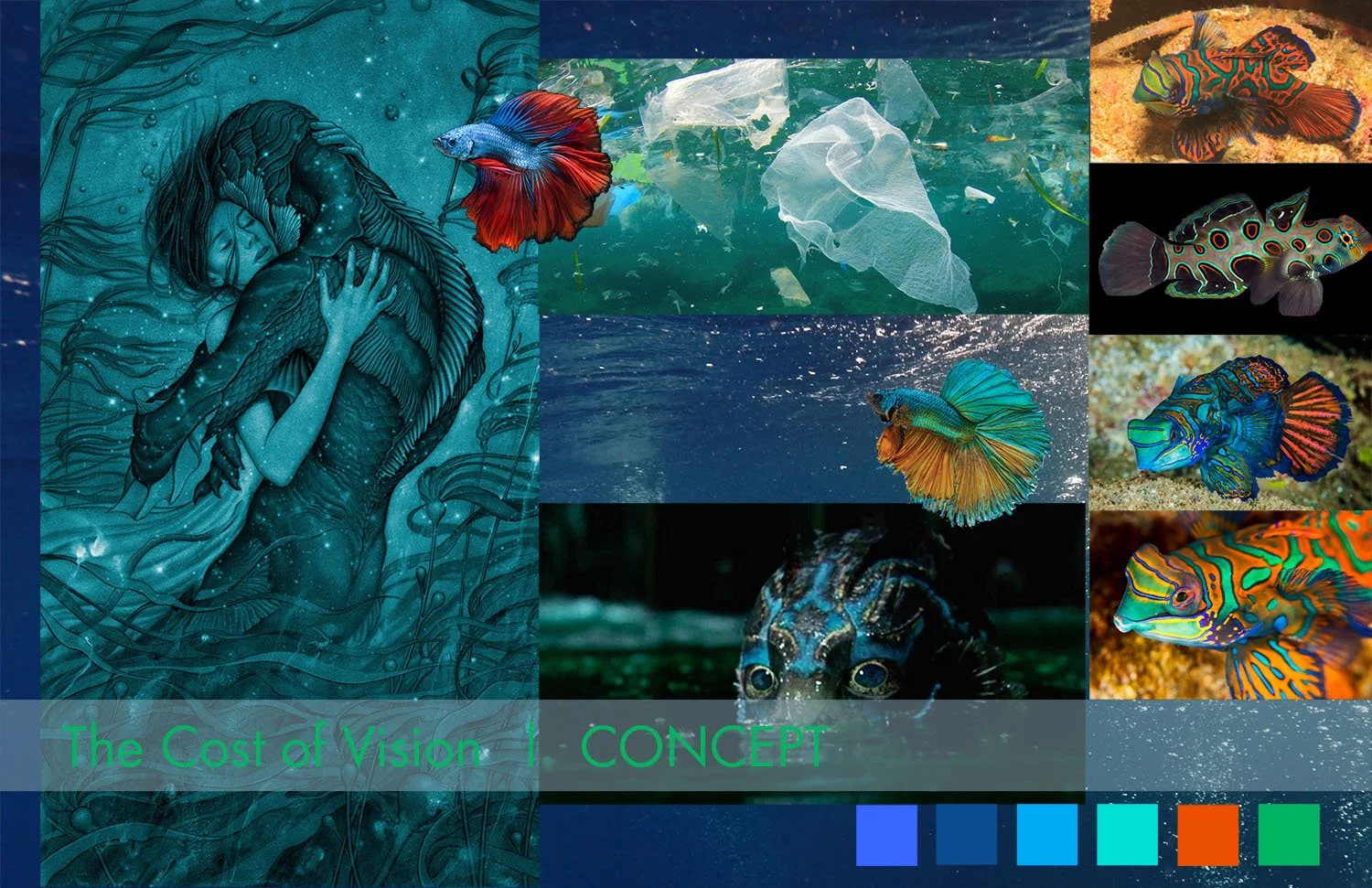 CostOfVisionConceptBoard.jpg