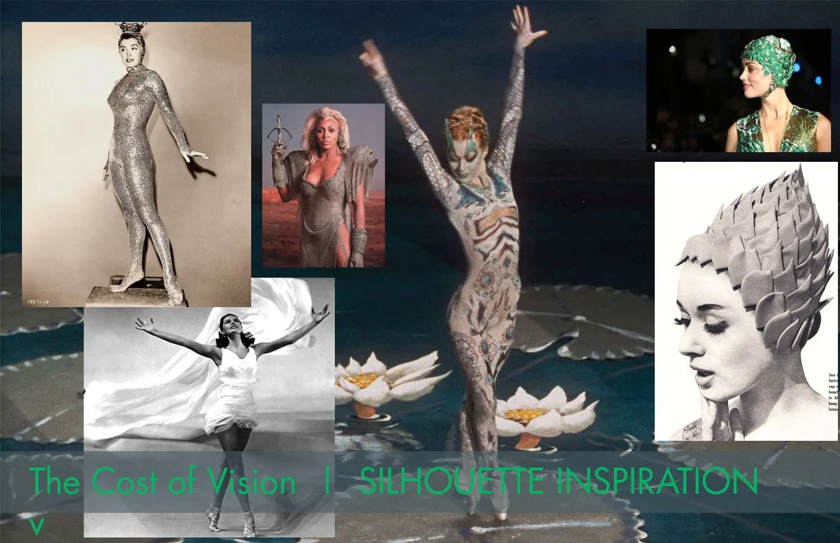 CostOfVisionSilhouetteBoard.jpg
