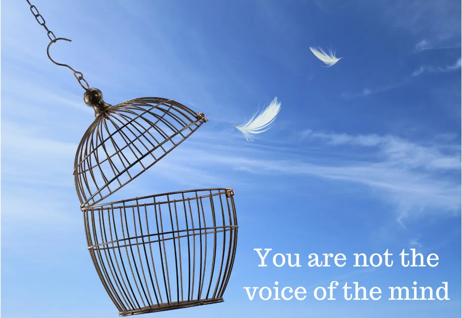 You are not the voice oif the mind.jpg