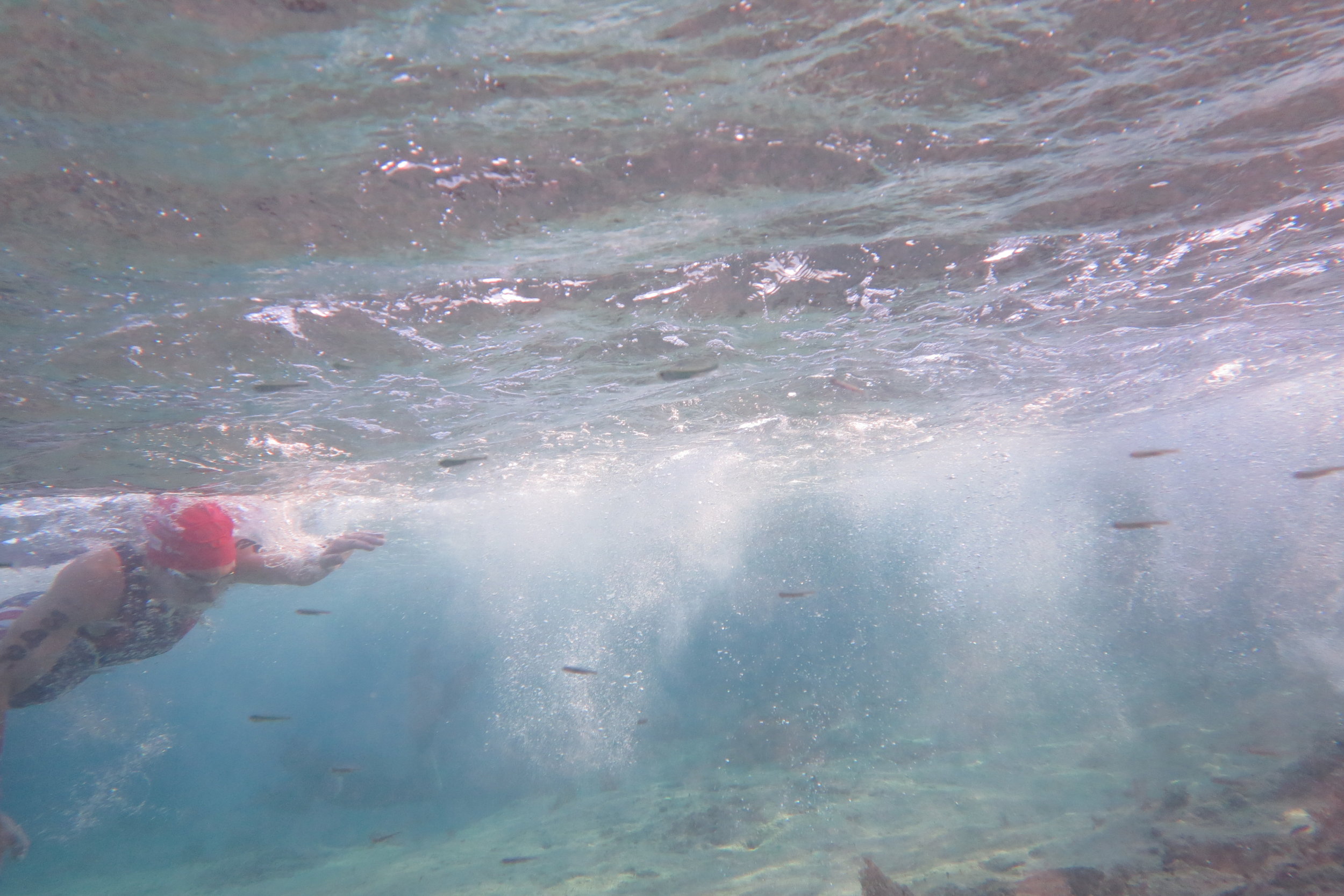 Swimming with the fishies