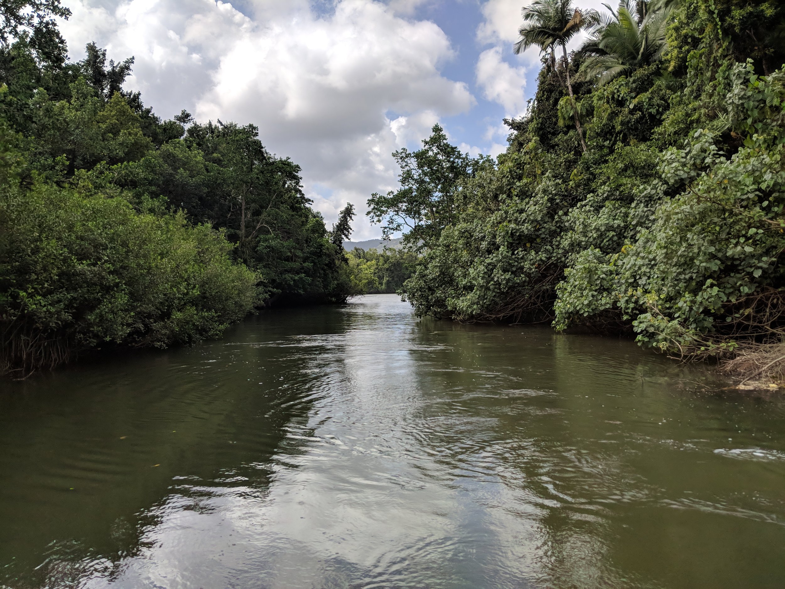 IMG_20180919_142647.jpg