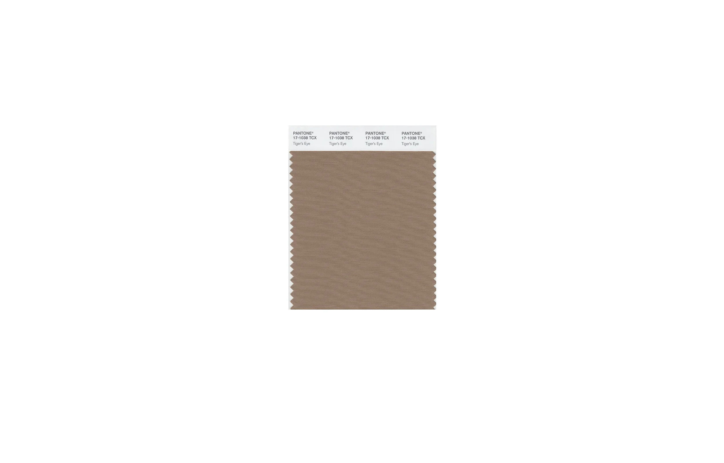 CG_Tigers_Eye_Pantone.jpg