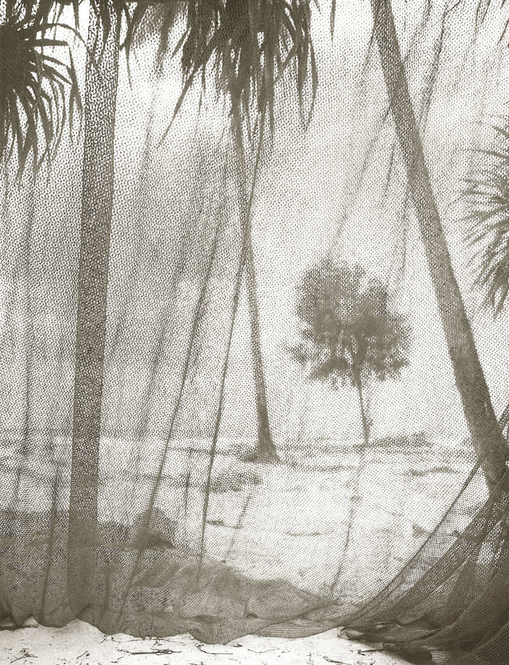 10-Crosby---Zanzibar.nocrop.w513.h670.2x.jpg