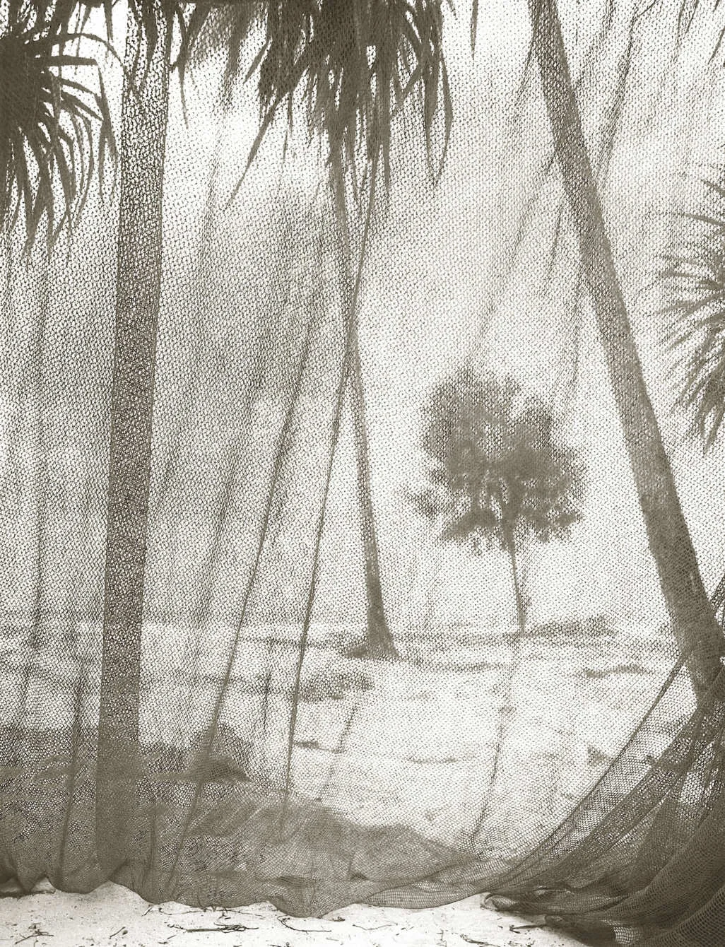 10-Crosby---Zanzibar.nocrop.w513.h670.2x.jpg