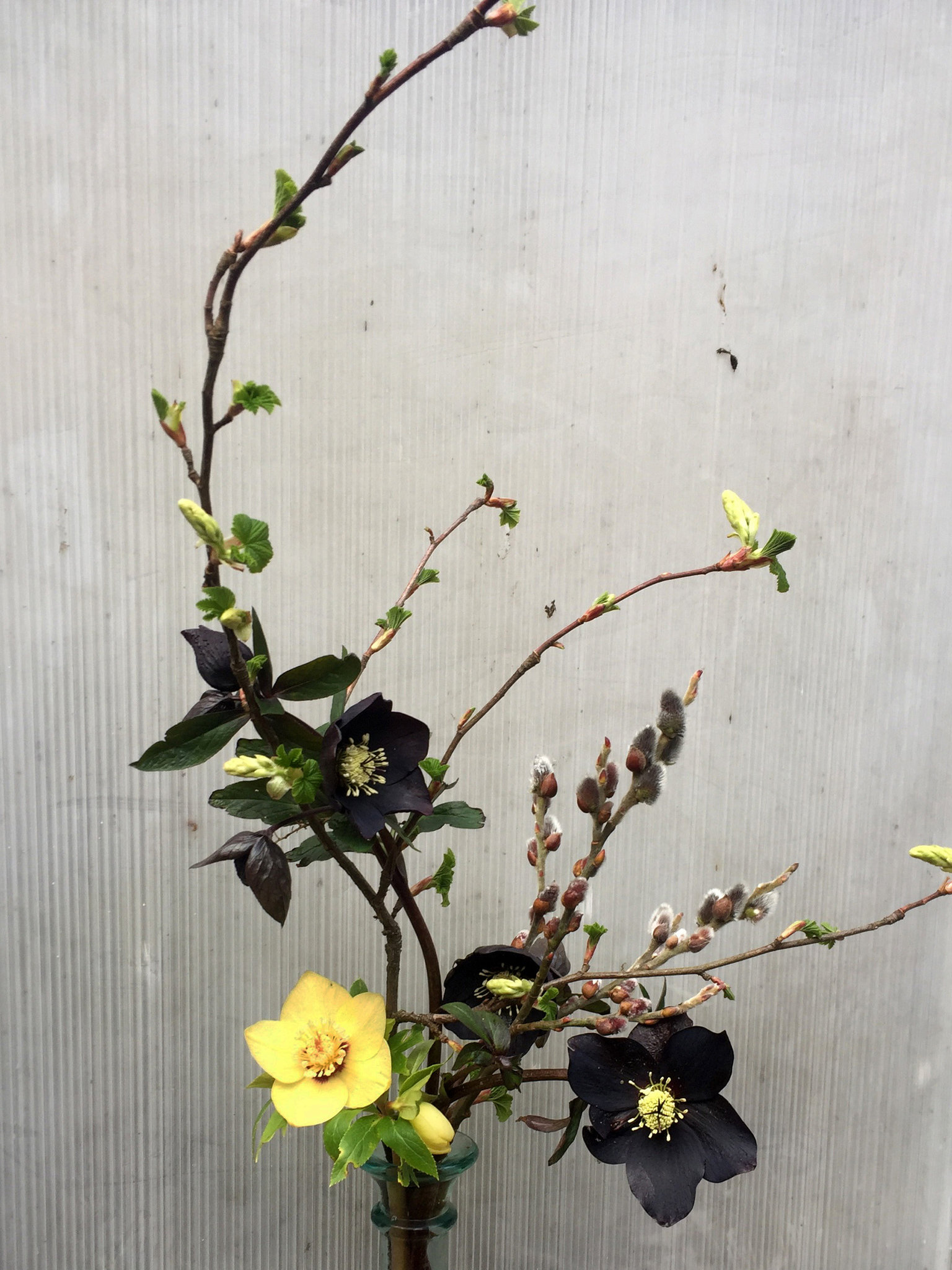 20tmag-florists-slide-GM9I-superJumbo.jpg