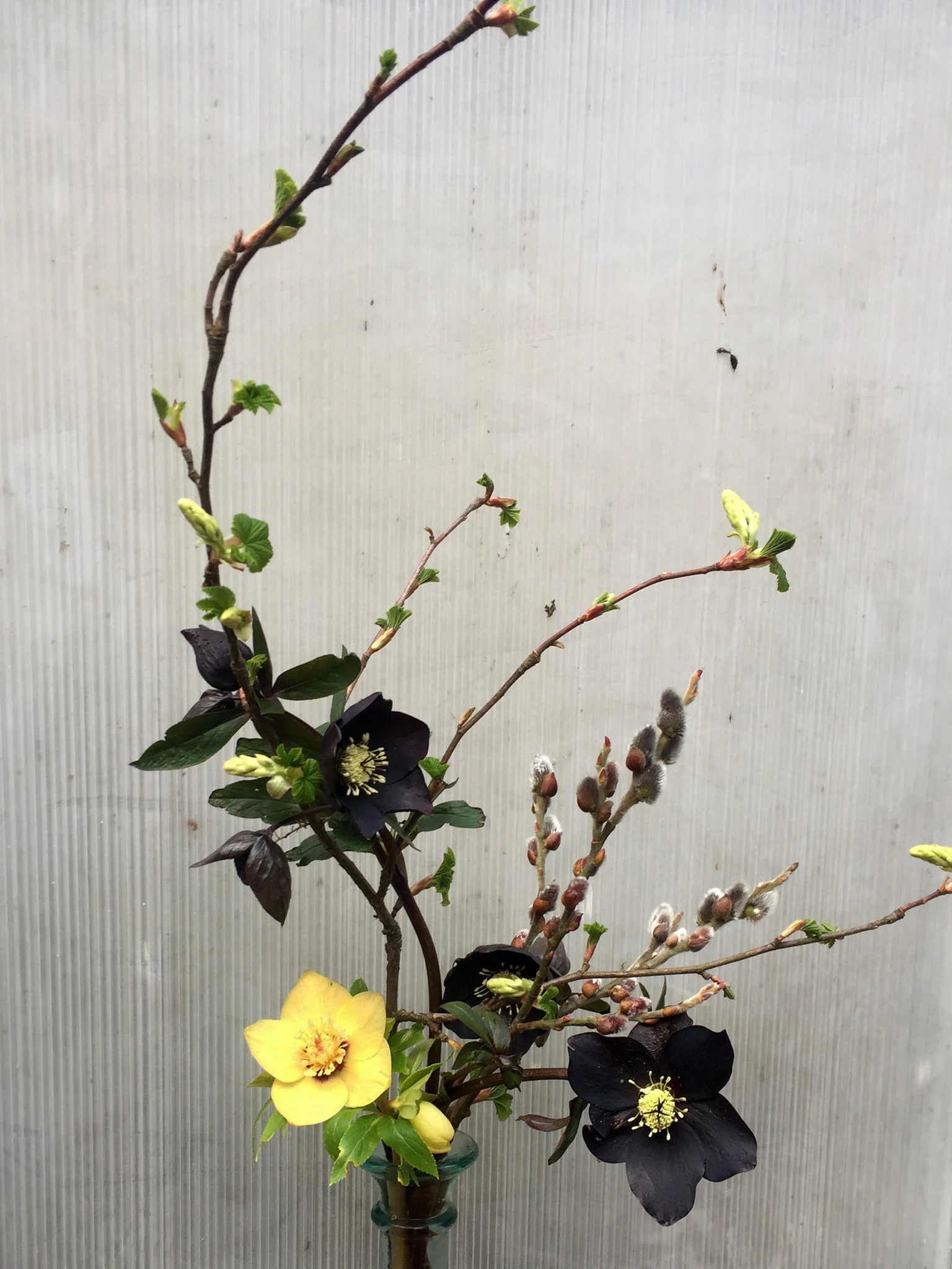 20tmag-florists-slide-GM9I-superJumbo.jpg