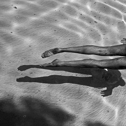 diving-in.jpg
