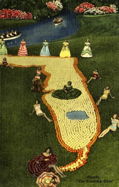 FL_citrus map.jpg