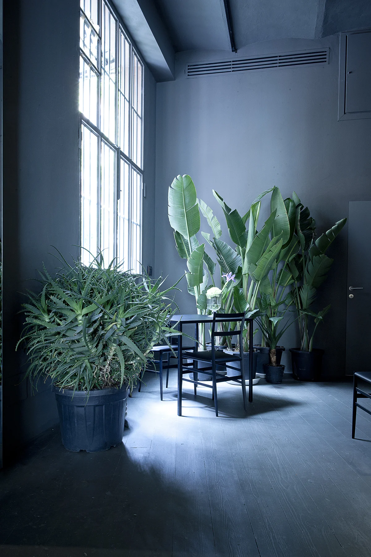 interior-design-potafiori-3.jpg