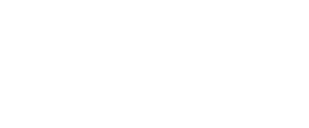 virgin.png