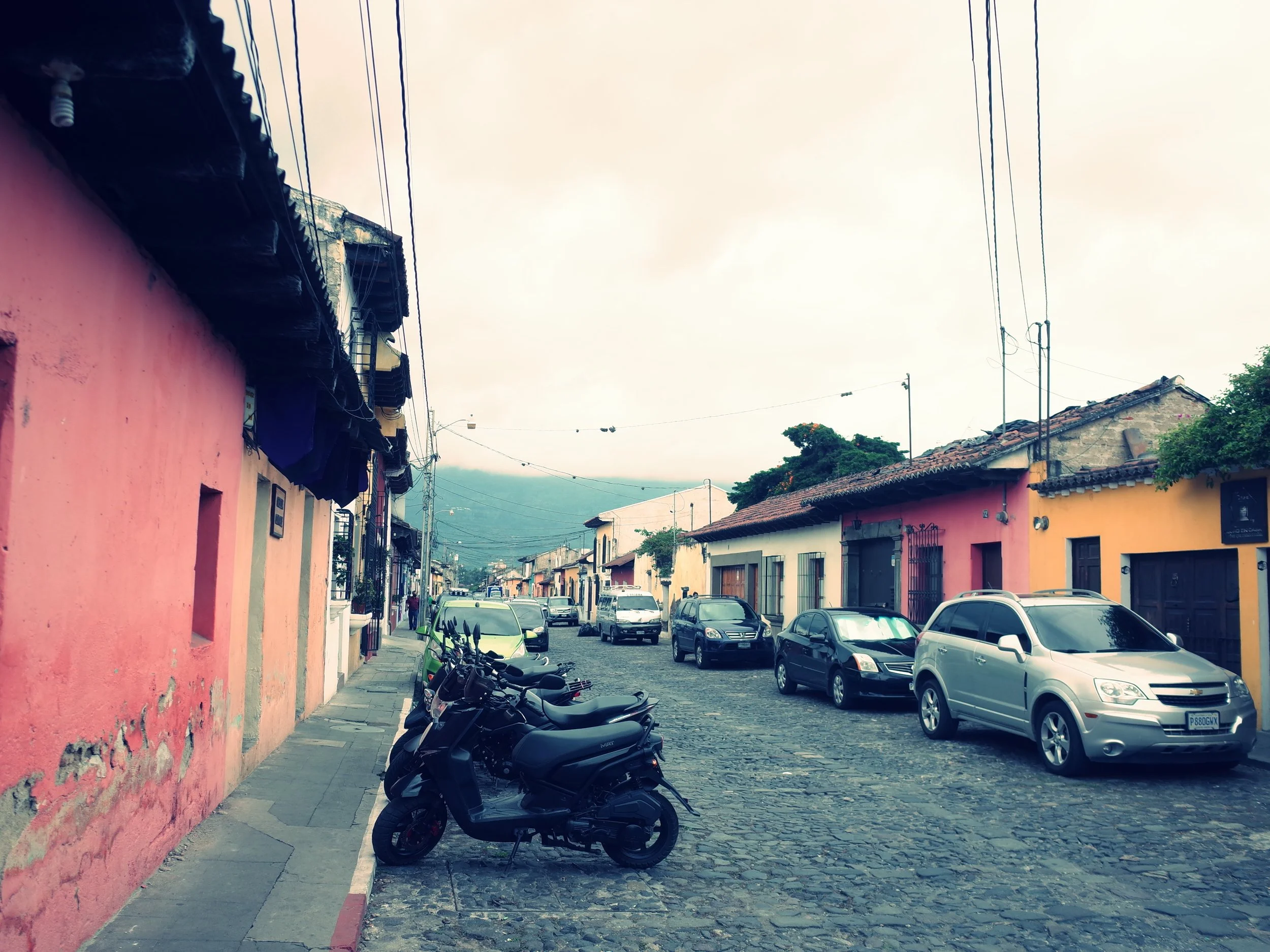 R0009783.JPG