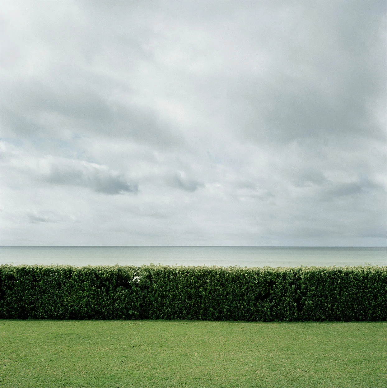 Napier, 1978