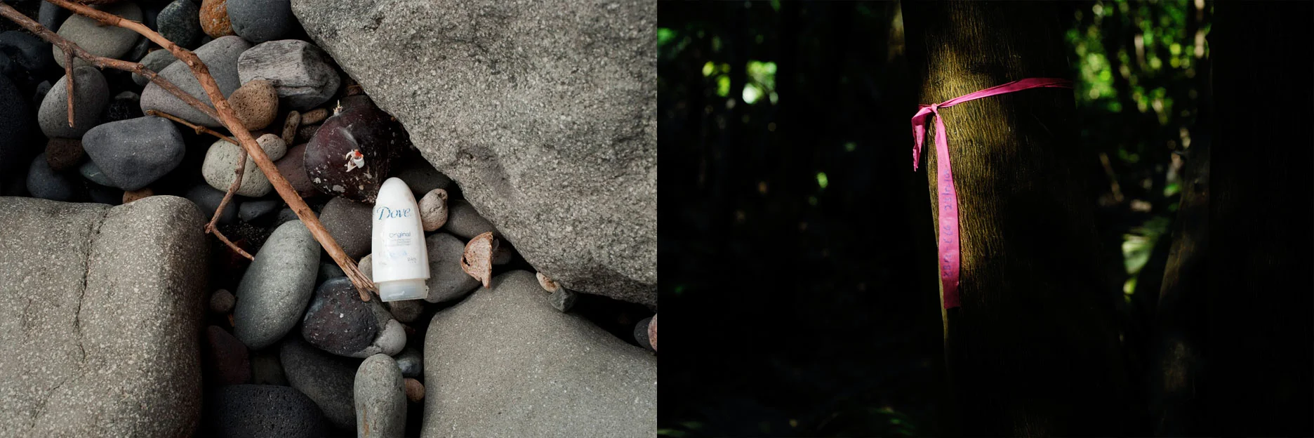 Invasive Species X, 2011
