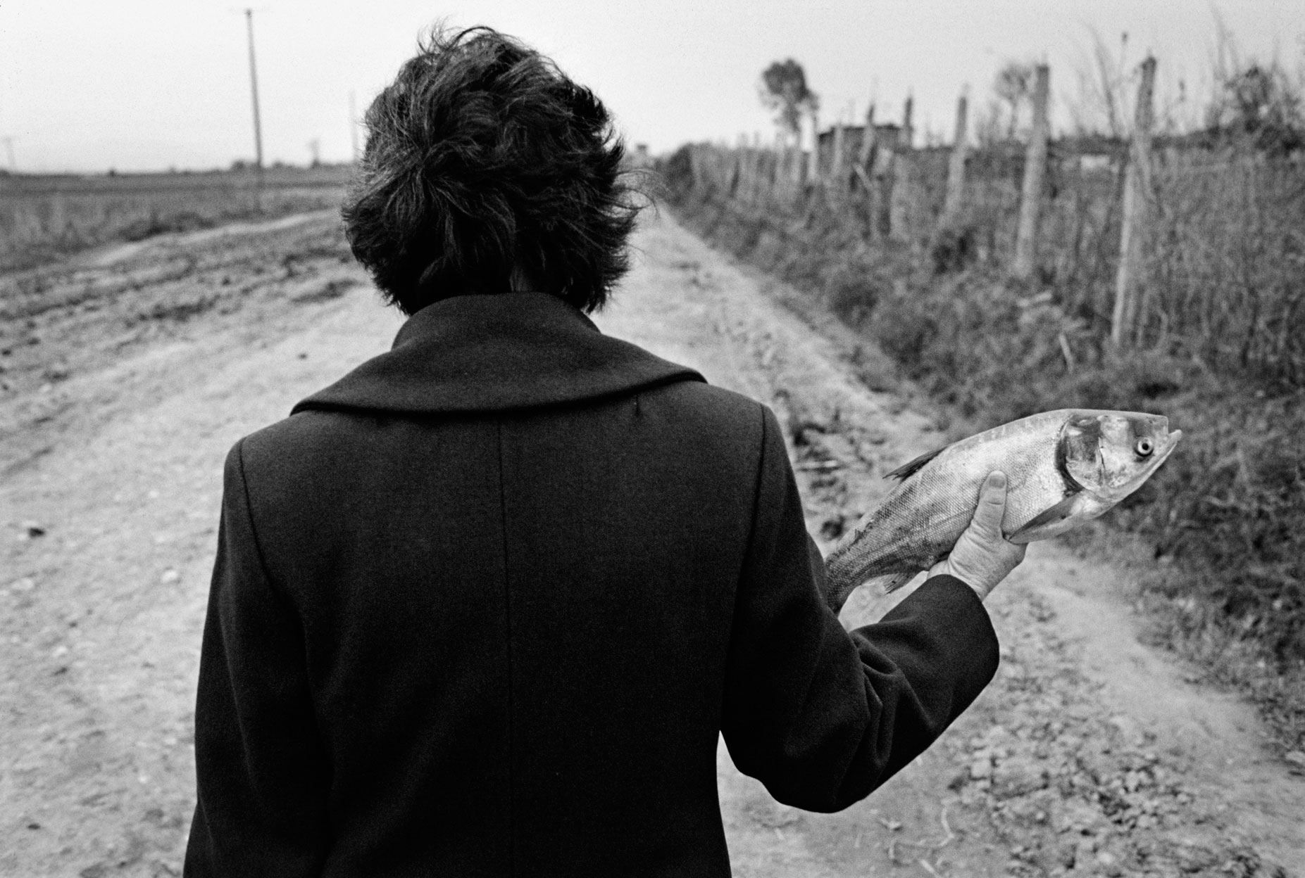 Albania, 1991