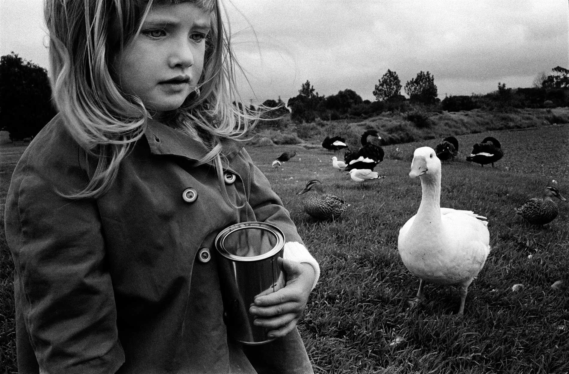 Auckland, 1977